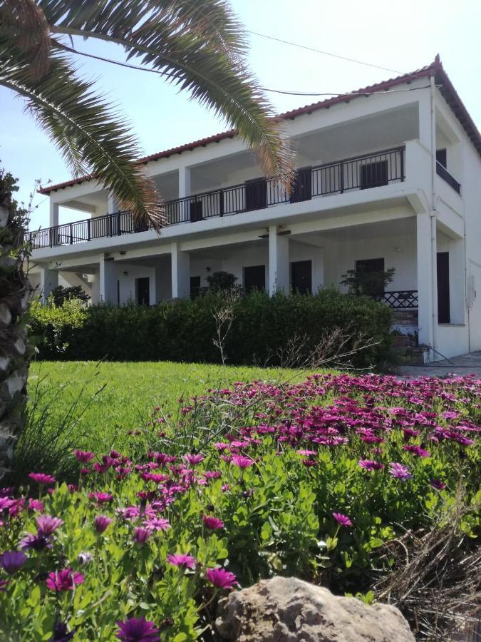 Olga Paltsi Rooms Paltsi Pilion Exterior photo